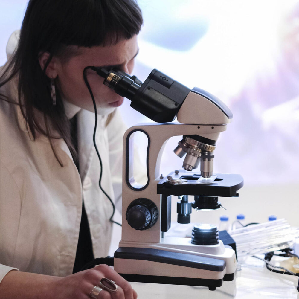 Daphne von Schrader „Animalcule: Microspecies Arrangements“