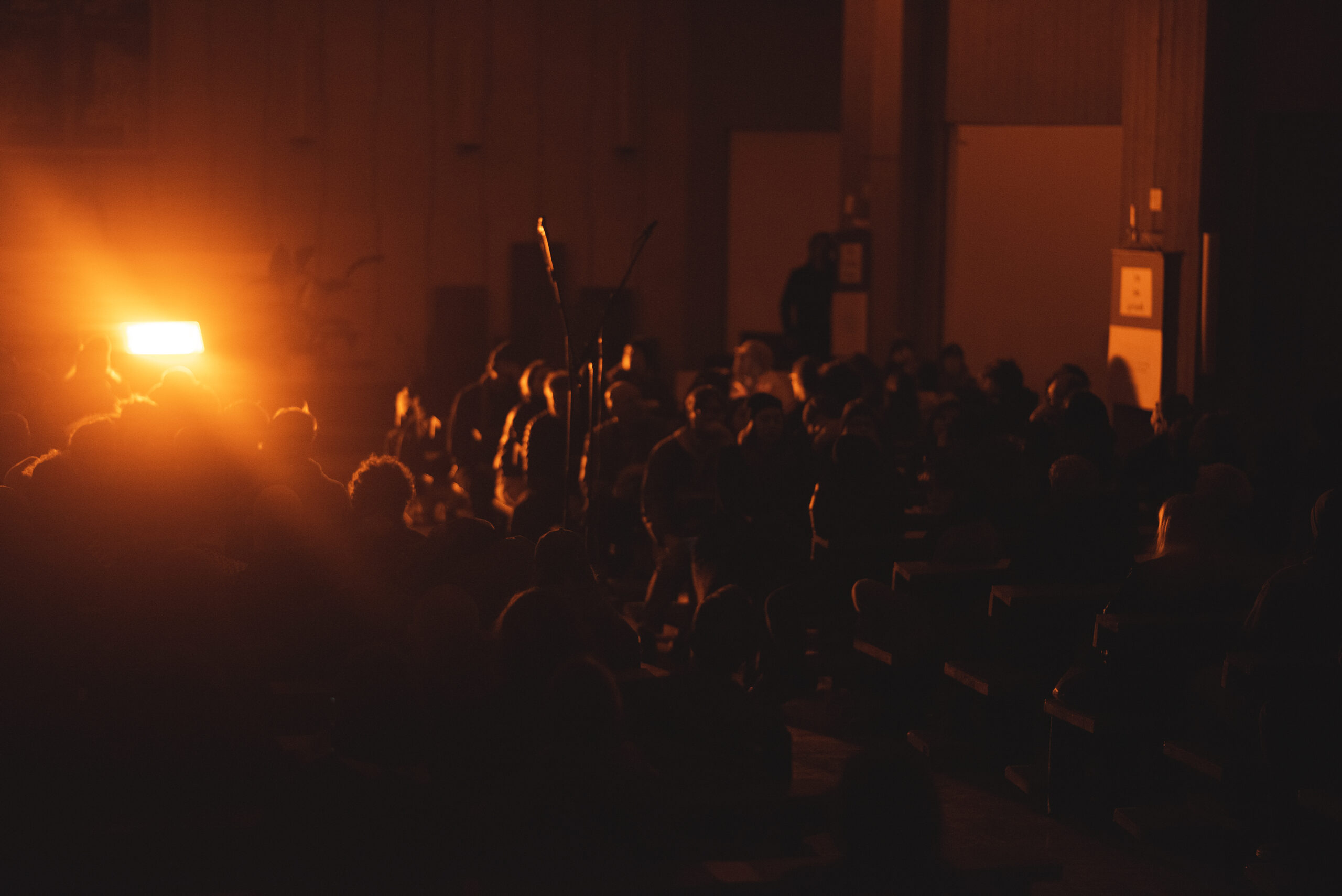 ST 2025 © Yuliia Sudarchykova