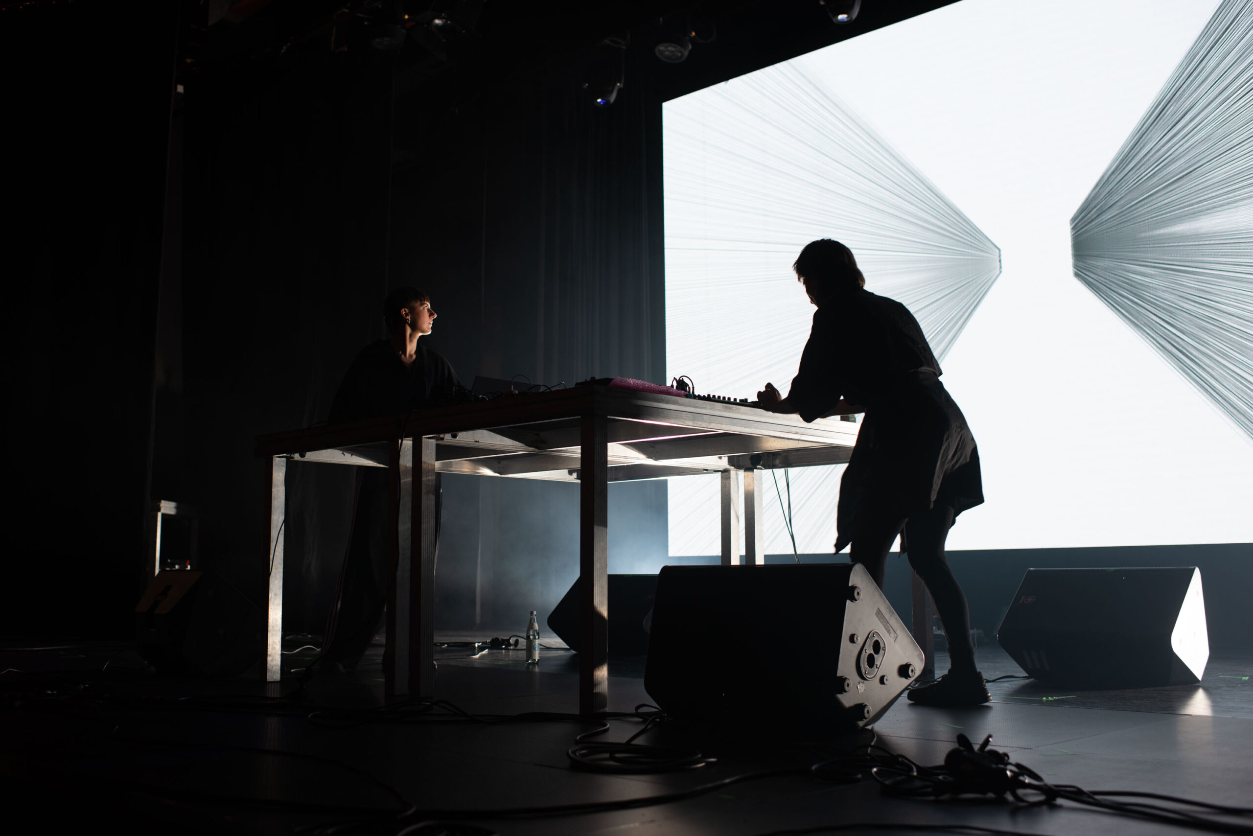 ST 2025 © Yuliia Sudarchykova