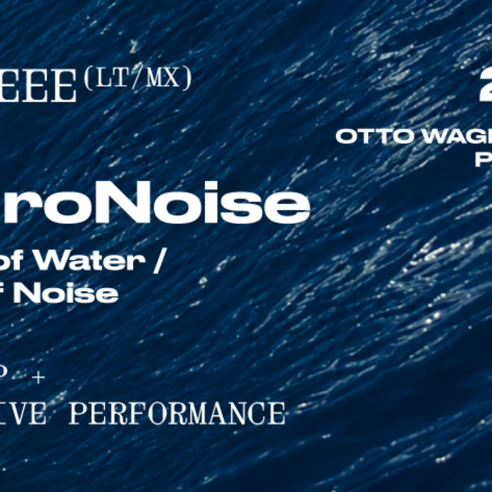 DEEEVEEE (LT) „HydroNoise: Bodies of Water / Fields of Noise“